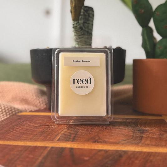 BRAZILIAN SUMMER - Pistachio, Coconut & Salted Caramel Wax Melts *PREORDER*