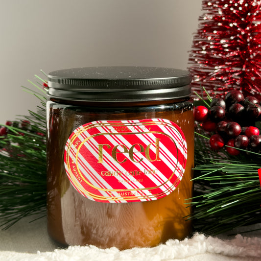 CANDY CANE LANE - Candy Cane